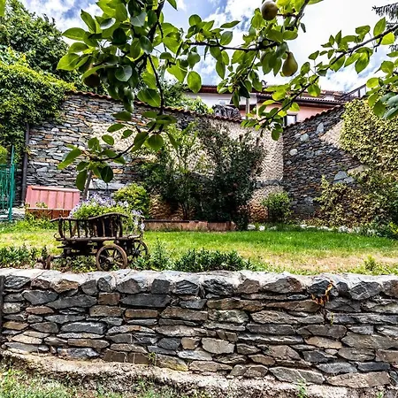 Apartment Avlija - Historic Gem *