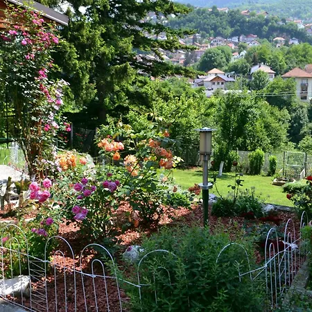 Avlija - Historic Gem